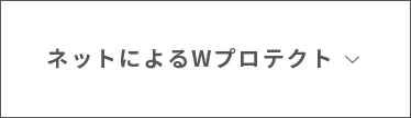 ネットによるWプロテクト